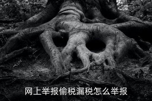 如何網(wǎng)上稅務(wù)舉報(bào)，網(wǎng)上舉報(bào)偷稅漏稅怎么舉報(bào)
