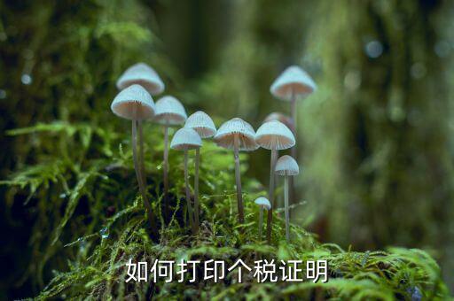 如何打印納稅證明嗎，去稅務局怎么打印增值稅完稅證明步驟操作