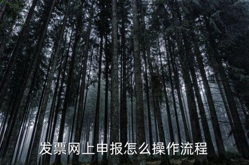 如何國稅局網(wǎng)上申請開票，如何登錄稅務(wù)網(wǎng)上開票