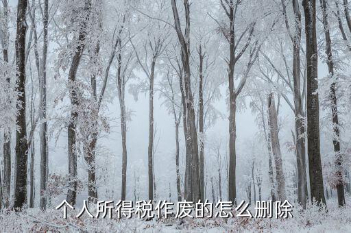 如何刪除已審核的地稅報(bào)表，已遞上的地稅網(wǎng)上財(cái)務(wù)報(bào)表系統(tǒng)的報(bào)表能否刪除