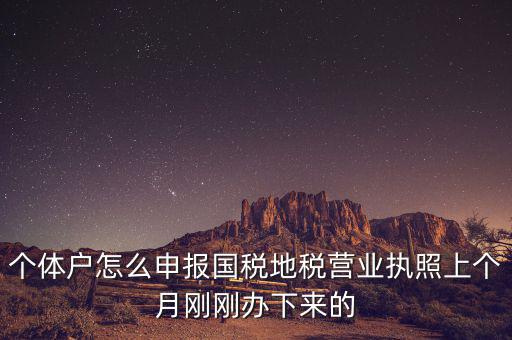 個(gè)體定額如何申報(bào)國(guó)稅，個(gè)體戶如何申報(bào)國(guó)稅和地稅