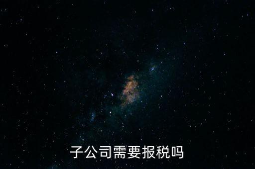 子公司如何申報納稅，控股子公司如何定稅