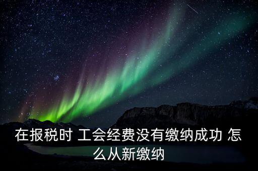 如何補(bǔ)繳工會(huì)經(jīng)費(fèi)，在報(bào)稅時(shí) 工會(huì)經(jīng)費(fèi)沒有繳納成功 怎么從新繳納