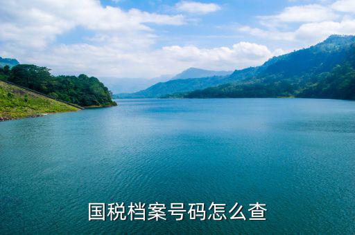 如何查地稅檔案，國(guó)稅檔案號(hào)碼怎么查