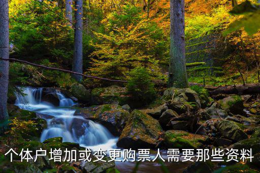 如何增加辦稅人員，請(qǐng)問(wèn)怎樣才能增加一個(gè)辦稅人需要什么資料