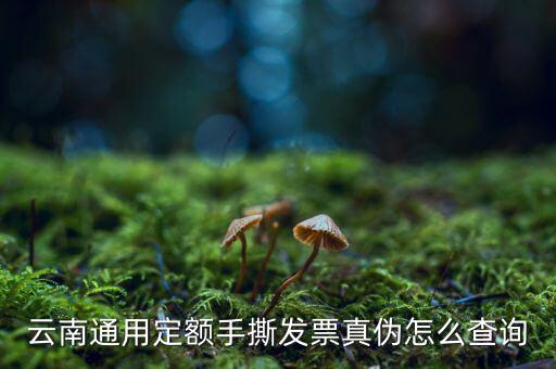 云南定額發(fā)票如何查詢系統(tǒng)，云南通用定額手撕發(fā)票真?zhèn)卧趺床樵?/></a></span><span id=
