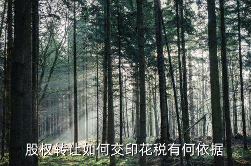 資產(chǎn)轉(zhuǎn)讓如何交印花稅，股權(quán)轉(zhuǎn)讓如何交印花稅有何依據(jù)