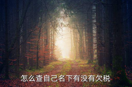 如何查欠稅記錄，怎么查個人有沒有欠稅