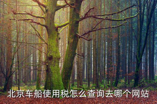 北京車船稅如何查詢系統(tǒng)，北京車船使用稅怎么查詢交沒交