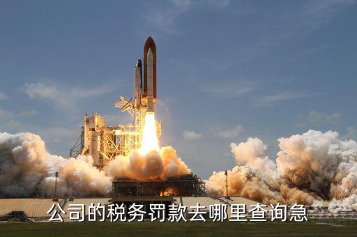 如何查稅收罰款，公司的稅務(wù)罰款去哪里查詢急