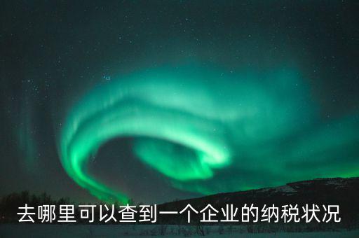 企業(yè)在哪納稅如何查，去哪里可以查到一個企業(yè)的納稅狀況