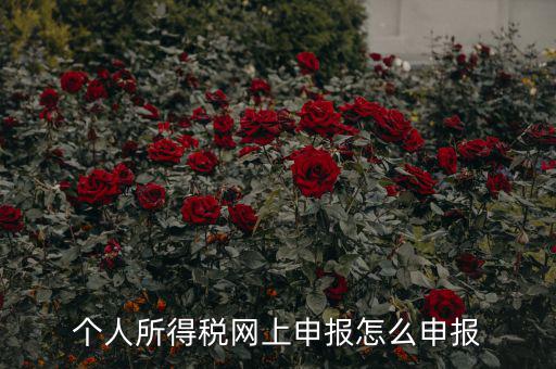 福建個人納稅如何申報，個人所得稅網(wǎng)上申報怎么申報