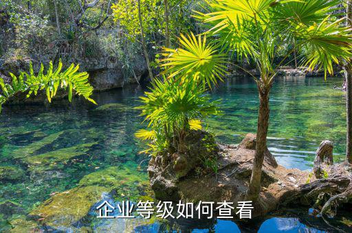 如何查納稅信用等級(jí)，企業(yè)納稅信用等級(jí)有何用處