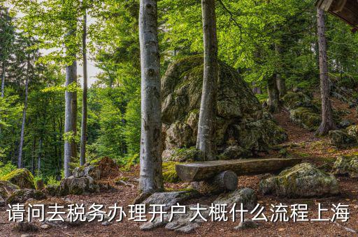 如何辦理稅務(wù)開戶，請問去稅務(wù)辦理開戶大概什么流程上海