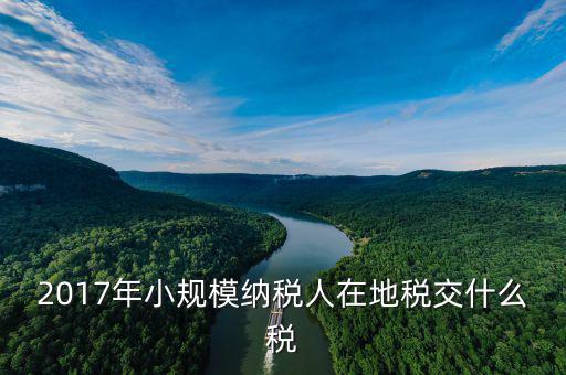 2017年土地稅如何征收，2017年小規(guī)模納稅人在地稅交什么稅