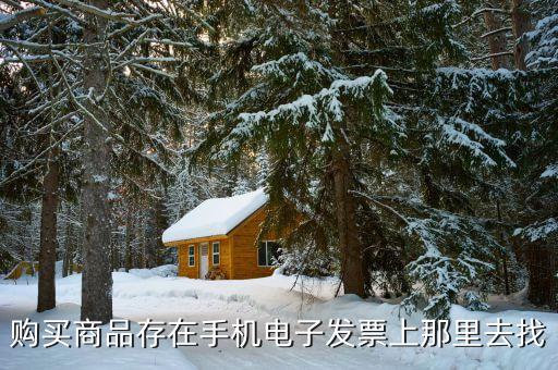 購(gòu)買(mǎi)商品存在手機(jī)電子發(fā)票上那里去找