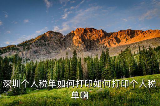 深圳網(wǎng)上如何打印稅單，怎樣在網(wǎng)上打印稅單我是深圳寶安區(qū)的