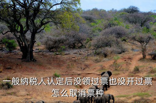 如何取消發(fā)票票種核定，一般納稅人認(rèn)定后沒(méi)領(lǐng)過(guò)票也沒(méi)開(kāi)過(guò)票怎么取消票種