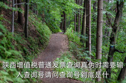 陜西省普通發(fā)票如何查詢系統(tǒng)，陜西國稅發(fā)票查詢號是做什么的