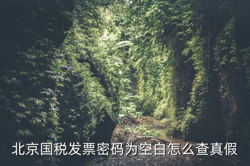 北京國稅發(fā)票真?zhèn)稳绾尾樵?，北京國稅發(fā)票密碼為空白怎么查真假