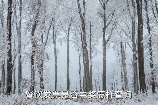 稅票中獎(jiǎng)查詢?nèi)绾尾樵?，餐飲發(fā)票是否中獎(jiǎng)怎樣查詢