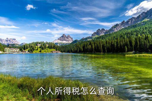 如何查稅，怎么查自己交了多少稅