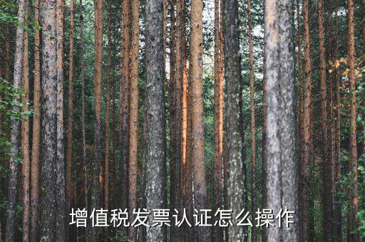 如何認(rèn)證增值稅進(jìn)項(xiàng)稅，進(jìn)項(xiàng)稅怎么認(rèn)證