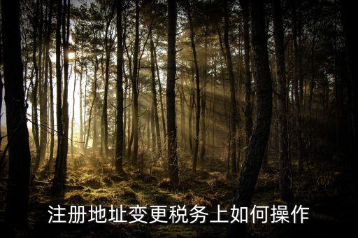 稅務(wù)官網(wǎng)地址如何變更，注冊地址變更稅務(wù)上如何操作