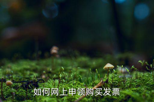 如何網上申領購買發(fā)票