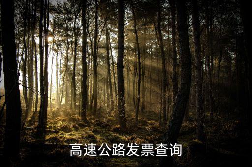 如何知道道路發(fā)票幾級(jí)，汽車的增值稅發(fā)票怎么看