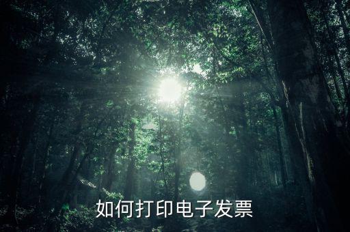 如何打印電子稅務局的電子發(fā)票，電子發(fā)票怎樣打印
