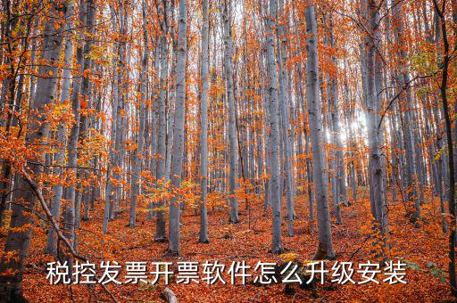 開票系統(tǒng)如何升級成品油軟件，稅率調(diào)整開票軟件如何升級
