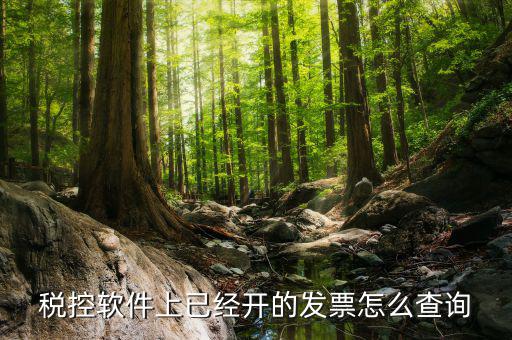 已勾選的發(fā)票如何查詢票號(hào)，增值稅專用發(fā)票可以憑票號(hào)在稅局查詢