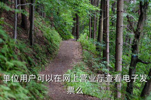 單位用戶(hù)可以在網(wǎng)上營(yíng)業(yè)廳查看電子發(fā)票么