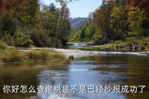 如何查看抄報(bào)成功，稅控發(fā)票開票軟件怎么看網(wǎng)上抄報(bào)成功沒有