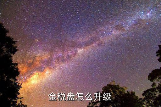 百旺金稅盤如何升級，金稅盤怎么升級