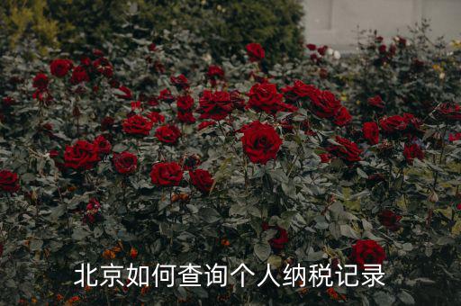 如何查詢北京國稅局納稅人狀態(tài)，如何進行北京市A級納稅人信用查詢