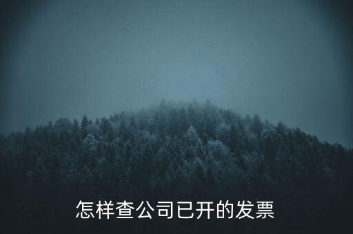 如何查企業(yè)的開票資料，如何查詢其他企業(yè)開具給本企業(yè)的發(fā)票