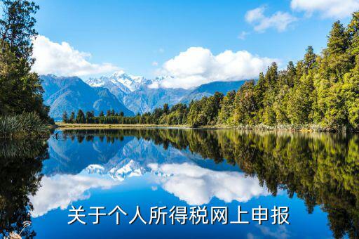 網(wǎng)上如何啟用個(gè)稅，如何打開個(gè)人所得稅申報(bào)表的明細(xì)