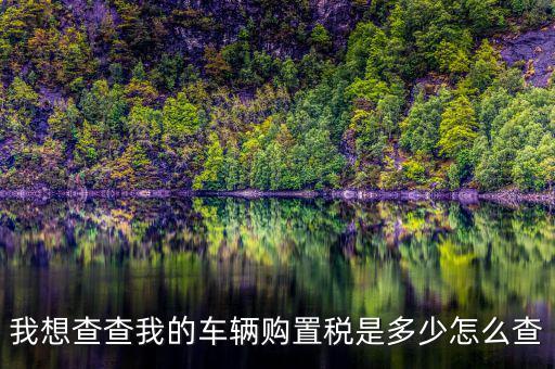 如何看購(gòu)置稅發(fā)票，我想查查我的車輛購(gòu)置稅是多少怎么查
