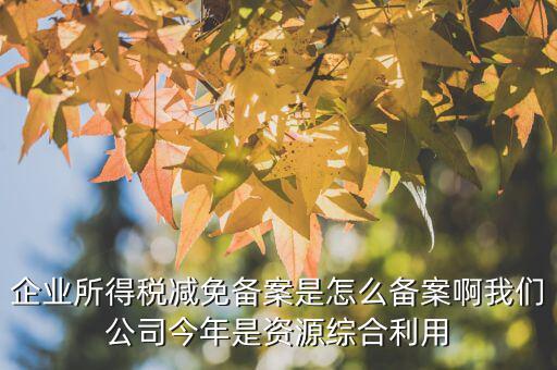 如何打印稅收優(yōu)惠備案通知書，減免稅備案登記告知書在哪里打印的