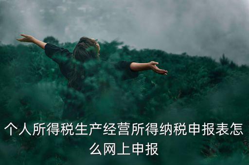 生產(chǎn)經(jīng)營(yíng)所得如何網(wǎng)上申報(bào)，個(gè)體工商戶網(wǎng)上申報(bào)怎么做