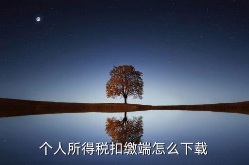 如何下載自然人扣繳客戶端，重慶市自然人電子稅務(wù)局扣繳端怎么下載