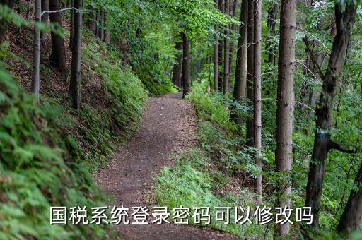 稅務系統(tǒng)如何修改密碼，金稅三期怎樣修改報稅密碼