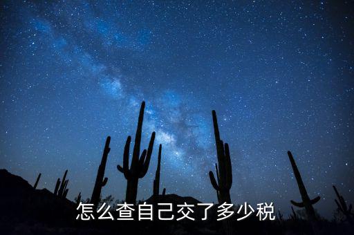 如何查詢(xún)交稅，如何查詢(xún)企業(yè)繳稅情況