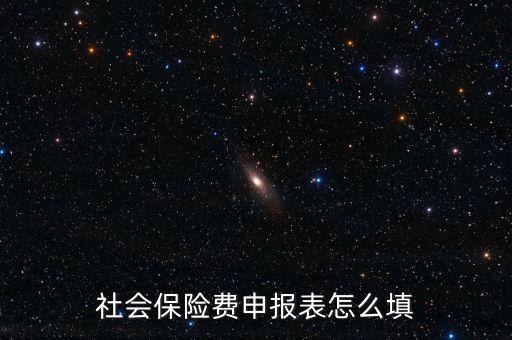 稅務系統(tǒng)社保費申報表如何填報，社會保險費申報表怎么填