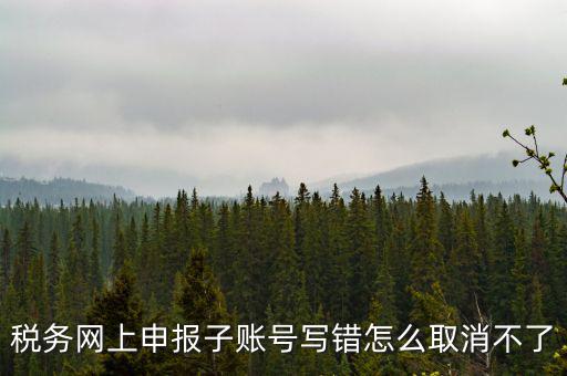 稅務網(wǎng)上申報子賬號寫錯怎么取消不了
