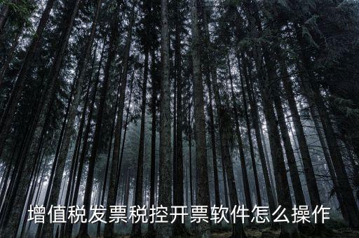 百望開票軟件如何開票，百望開票系統(tǒng)發(fā)票抬頭有符號怎么打
