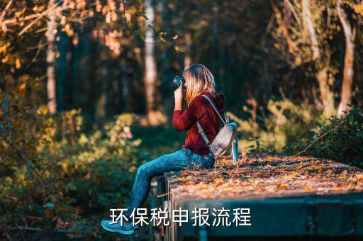 噪聲如何填寫(xiě)環(huán)保稅，環(huán)保稅如何申報(bào)