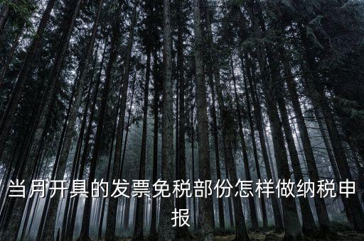 免稅和納稅如何申報(bào)，當(dāng)月開具的發(fā)票免稅部份怎樣做納稅申報(bào)